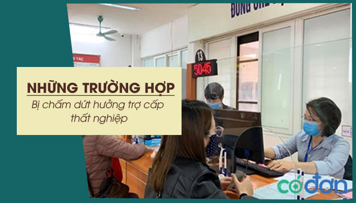 nhung truong hop bi cham dut huong tro cap that nghiep