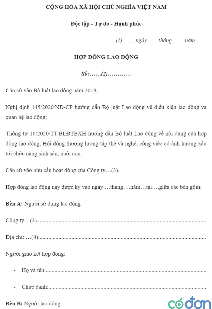 mau hop dong lao dong 2