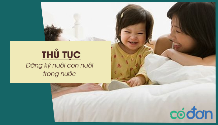 thu tuc dang ky nuoi con nuoi trong nuoc